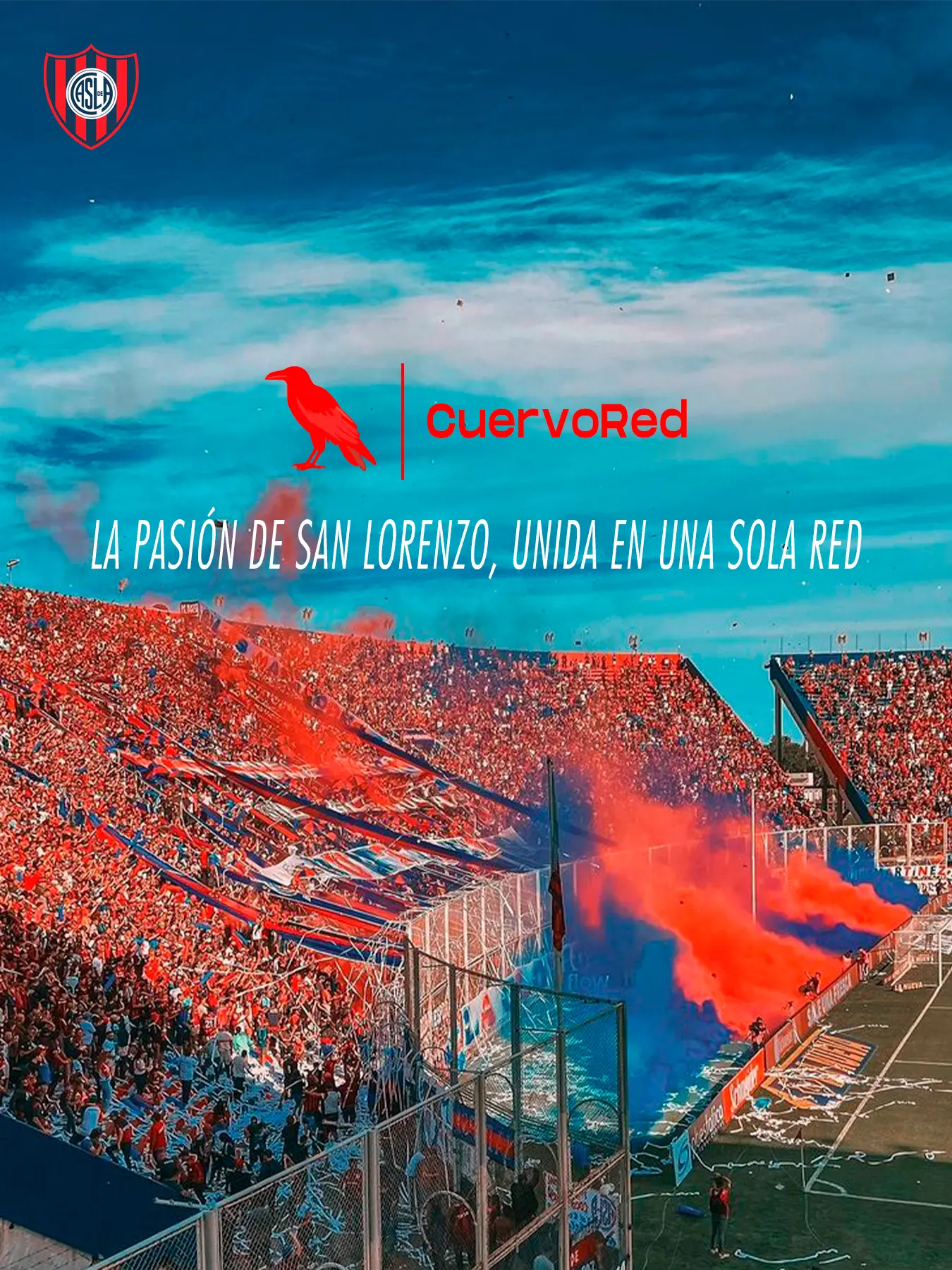 Cancha de san lorenzo con logo de la app